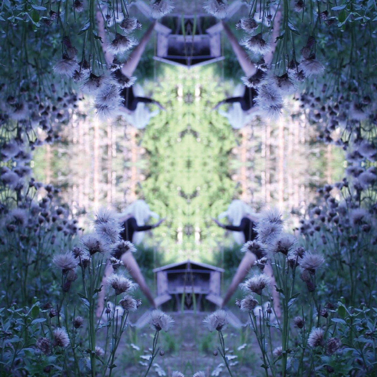 Three new amazing releases are now available for pre-orders! Ty Roxy, Paavoharju and Heta Bilaletdin albums will be released on 15th October. fonal.com