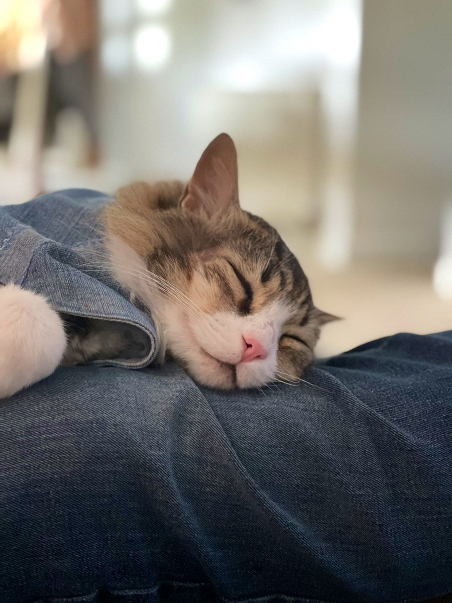 Nutriologa 🥑 (@lanutriologaweb) on Twitter photo 