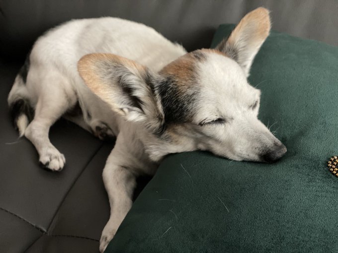 Llego un angelito al cielo🖤 https://t.co/PPaWDV0xuO<a href="/tag/zielou"class="tags"><span>#zielou</span></a>