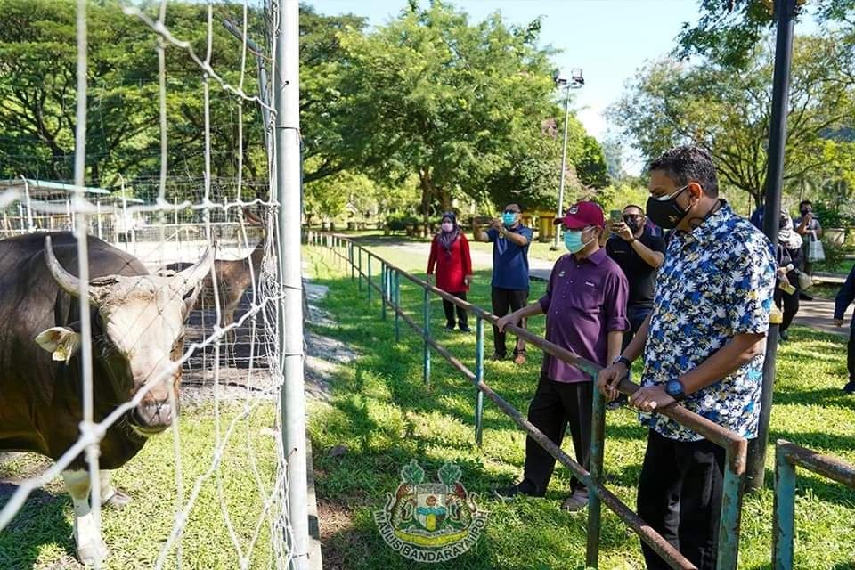 Peraktastic tweet media