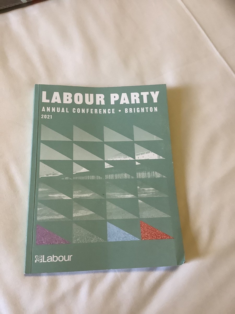 georgiefacing's tweet photo. In Brighton for the next few days for my first ever party conference experience this week. So far more leaflets than you can shake a stick at. Feet already taking some strain, but enjoying getting my policy geek on at fringe events and chats #conferencenewbie https://t.co/RIjqmtQJAZ