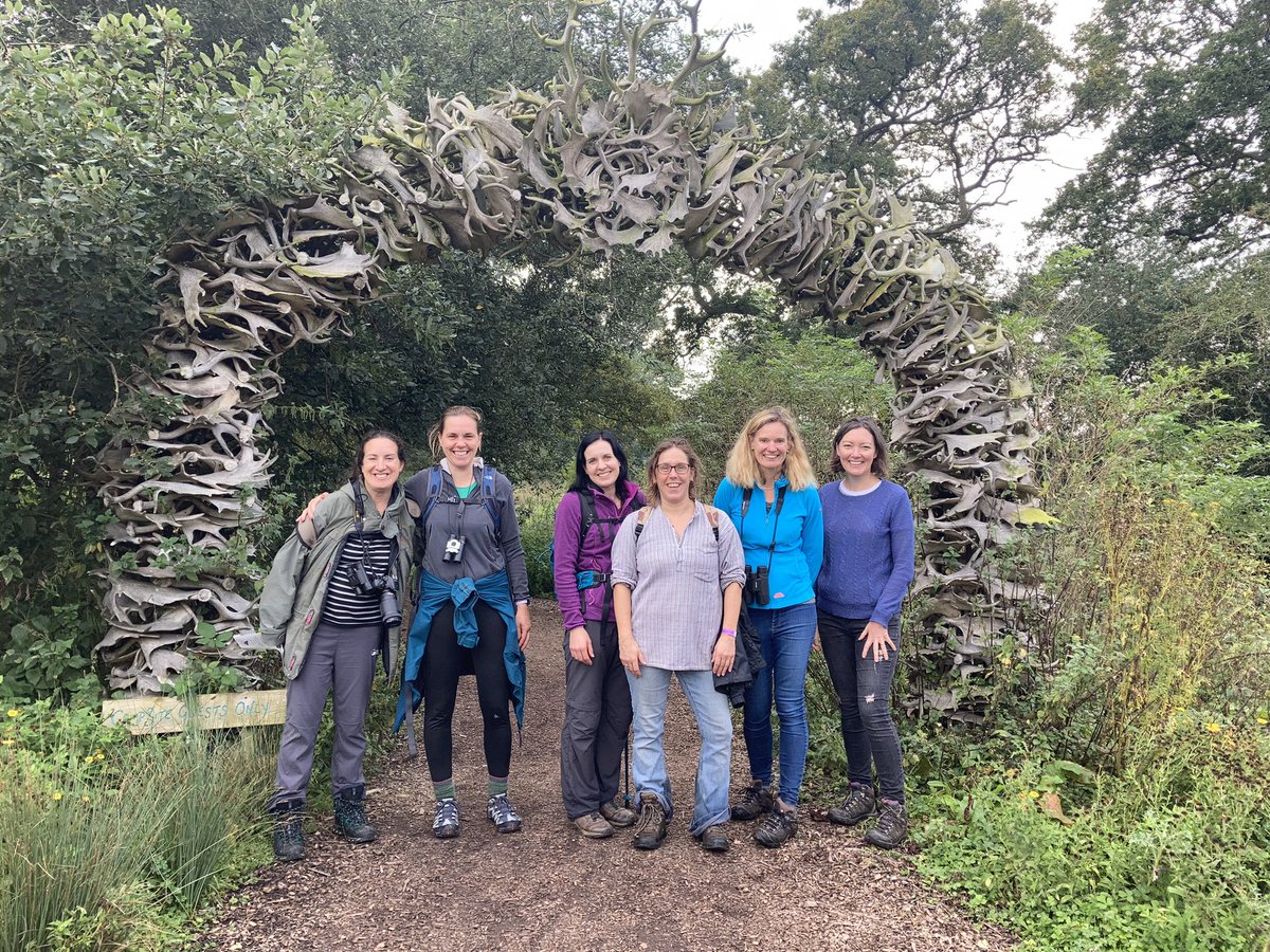 Helen_Burt's tweet photo. Absolutely love our safari at @KneppSafaris today. Lovely to see rewilding in action. Thank you @isabella_tree https://t.co/GS15NFlaIt