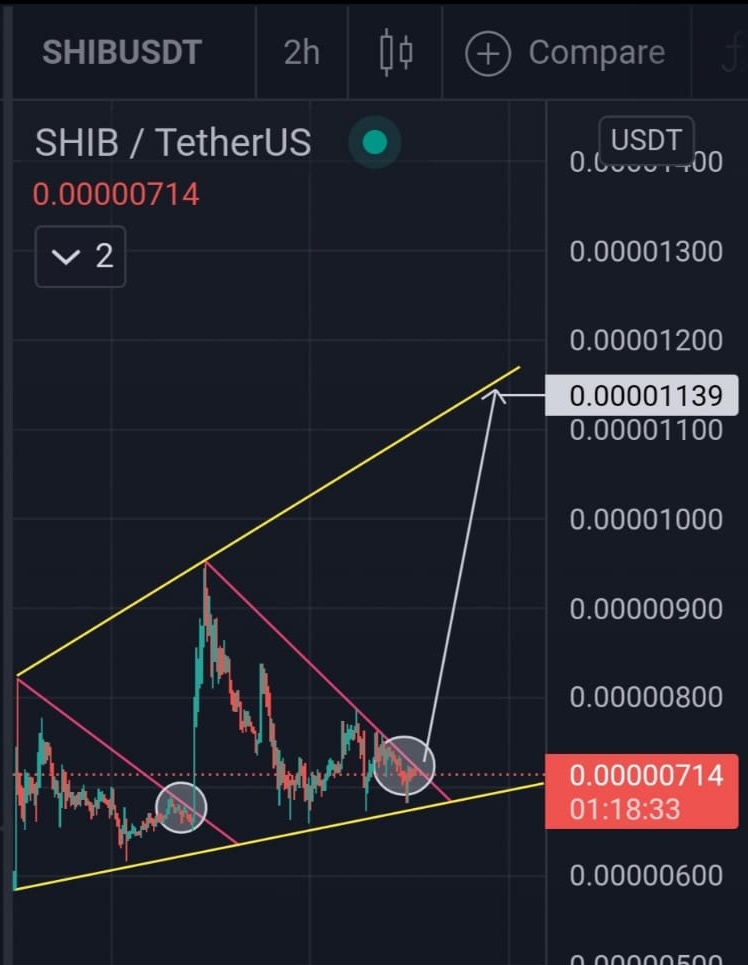 $SHIB KNIGHT tweet media
