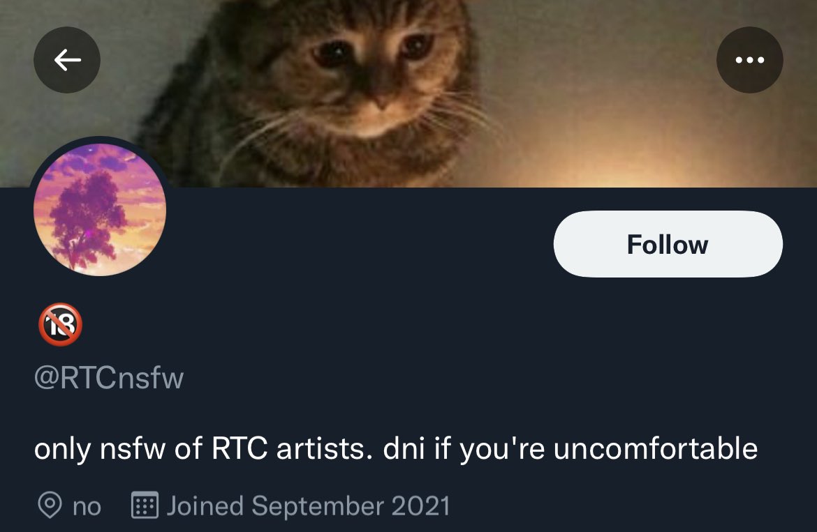 🚔🚨THE RR34 POLICE🚨🚔 tweet media