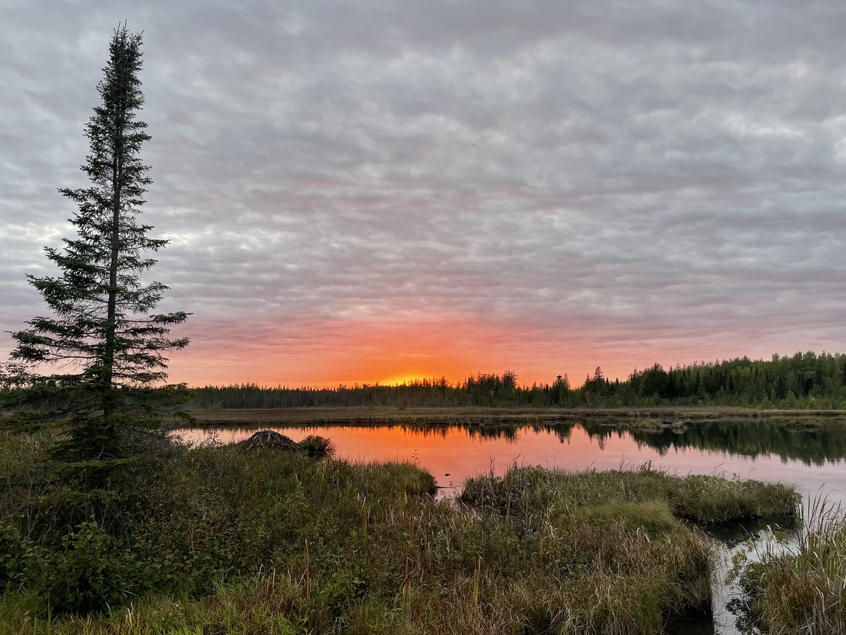 Sometimes, the beer trail appears in 4K with the contrast cranked and the saturation pegged as well. #minnesotabeer #drinklocal #craftbeer