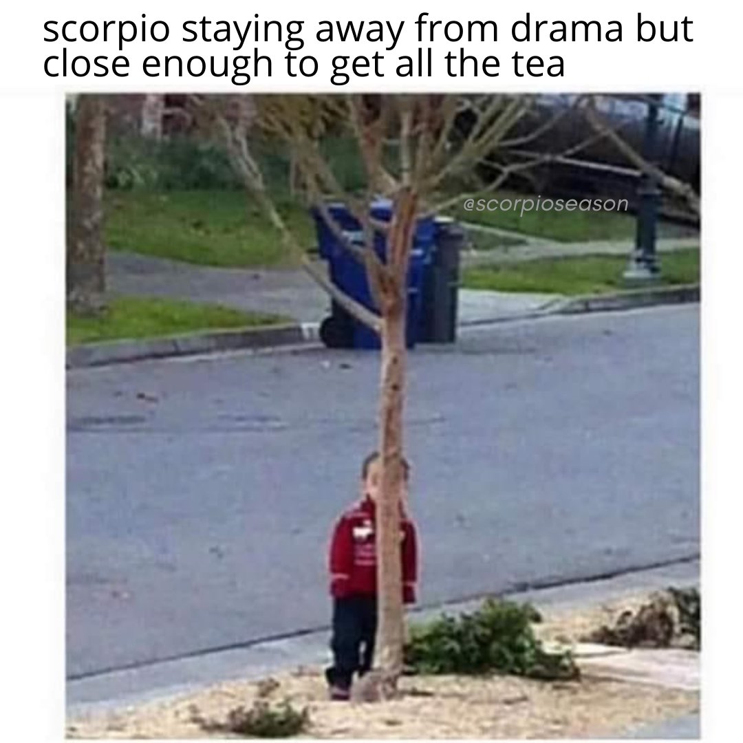 ScorpioSeason's tweet photo. scorpio staying away from drama but close enough to get all the tea https://t.co/TFpaqwHoiS