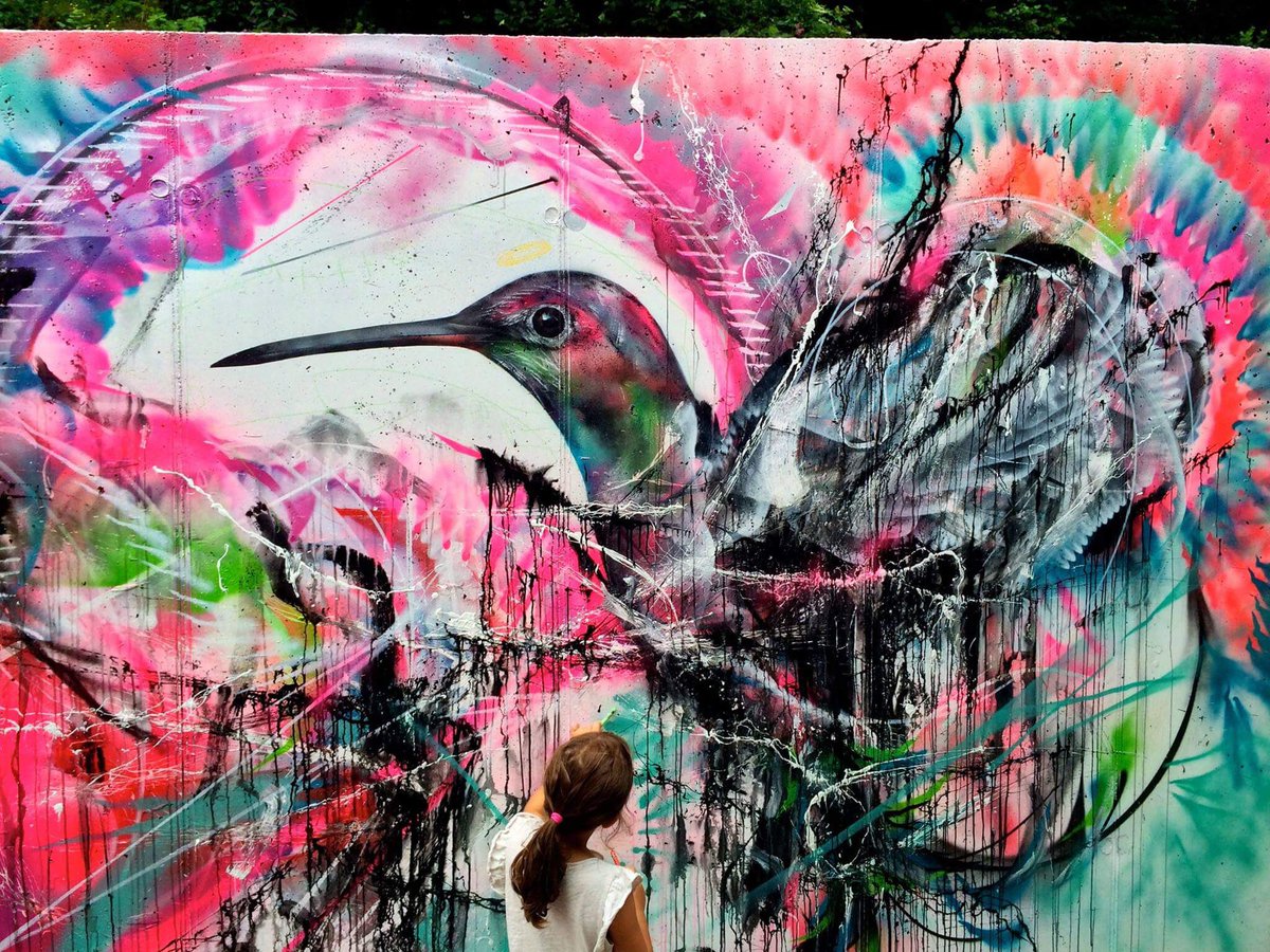 Arts_WEK's tweet photo. This week’s ‘Artist of Inspiration’ is Brazilian graffiti street artist L7M.
Known for their large scale bird studies, L7M is famous for adding vibrant colour and life with these mesmerizing bird artworks the streets of Brazil!
#hplcreativity #hplanalysing #wek #wekvisualarts https://t.co/Kia6RNitUf