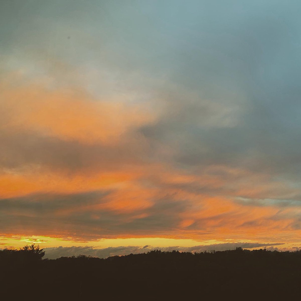 Boon Token tweet media