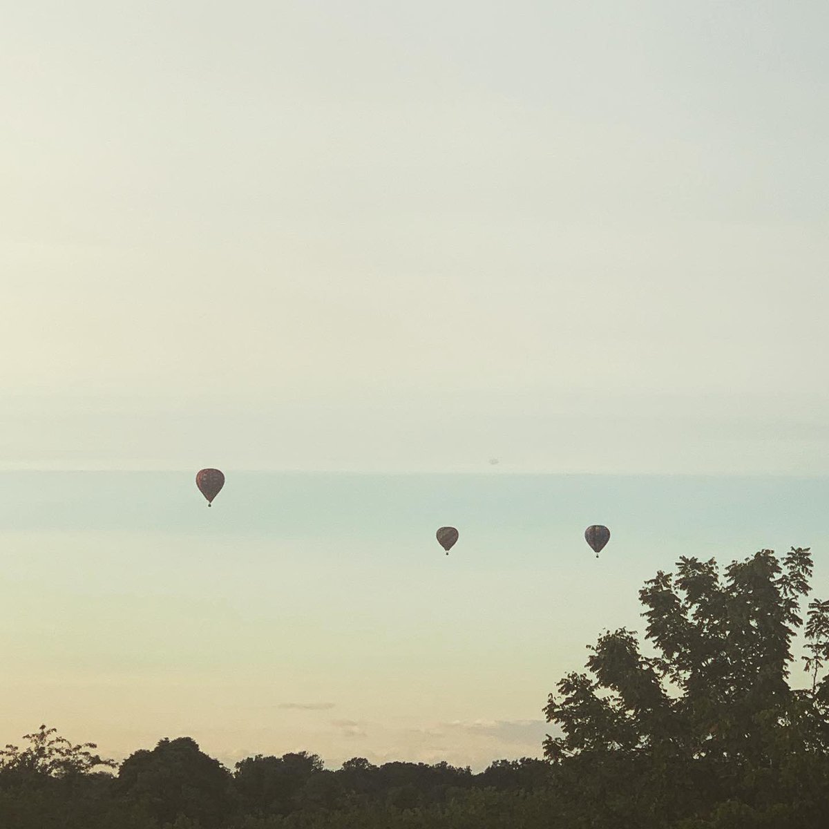 Boon Token tweet media