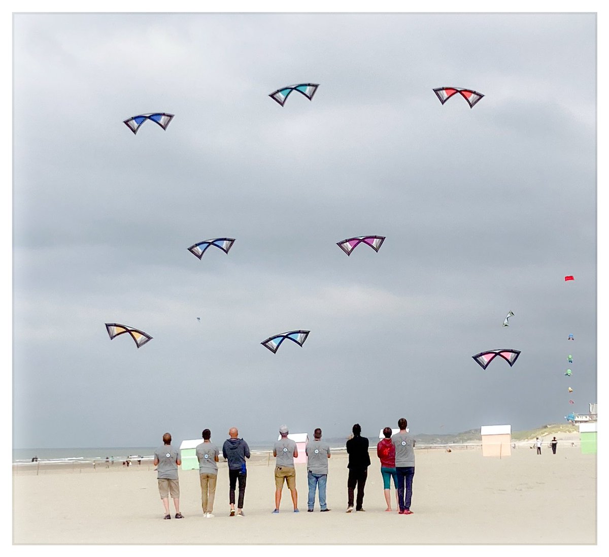 BercKite's tweet image. 