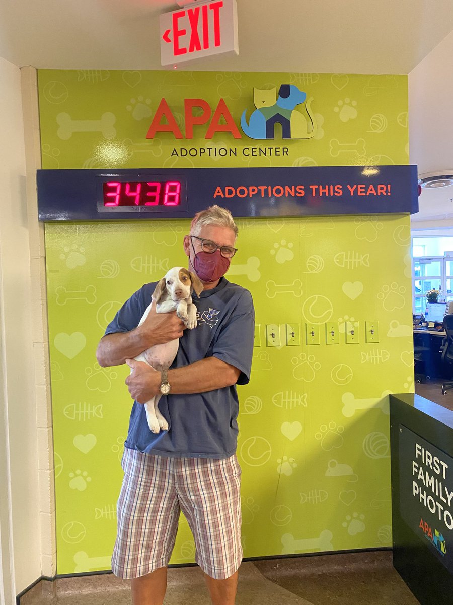 Our final Jonas Brother, ⁦<a href="/kevinjonas/">kevin jonas</a> ⁩ has been adopted!! 🥳