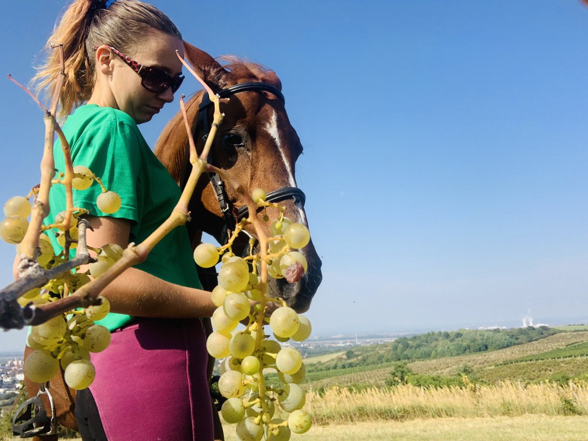 Christy463's tweet photo. Love never die 😍💋 #horse #fashion #nature https://t.co/ZoqtQzjuv6