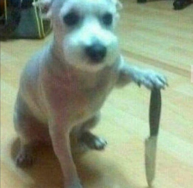 djaaybee's tweet image. Espero bem que já estejam com o cu no sofá. #SCROLLRTP