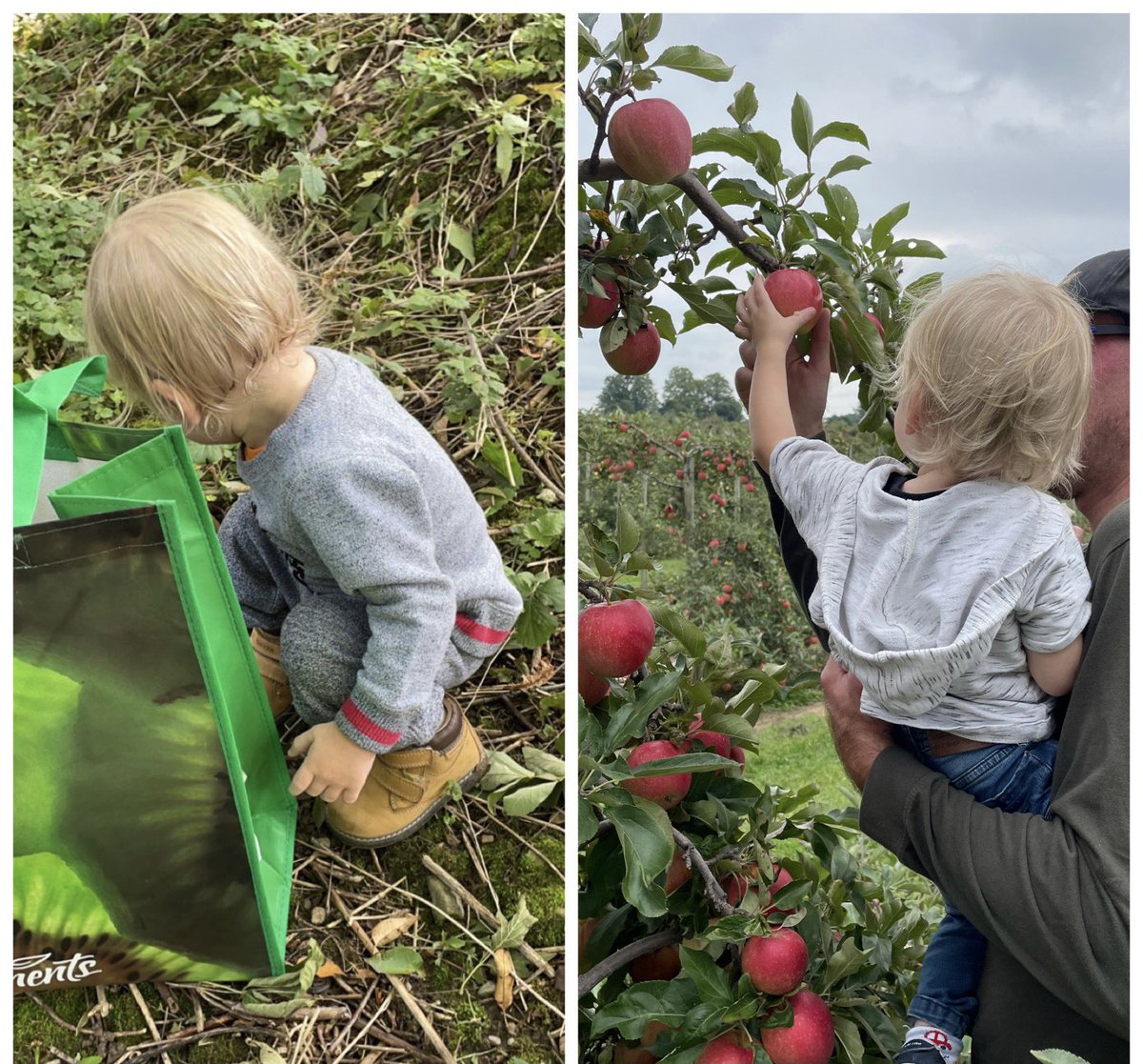 Heather Shea tweet media