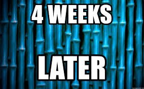 Paddy (@paddyarsenal) on Twitter photo 