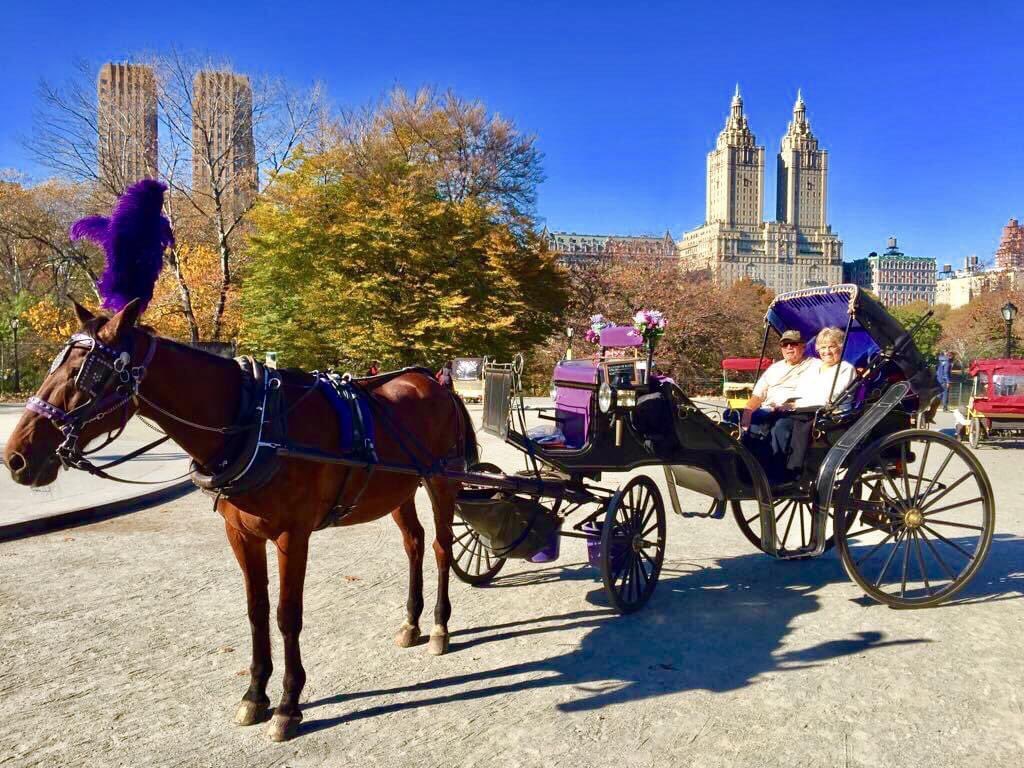 econyctours's tweet photo. Happy #sundayfunday from gorgeous Central Park🌳☀️🗽🐴#centralpark #centralparknyc #newyork #sightseeing #travelphotography #familyphotography #familytime #tourism #weekendvibes #sundayvibes #adventure #picoftheday #photooftheday #roamtheplanet #follow4follow #horsecarriage https://t.co/3trw0JHczG