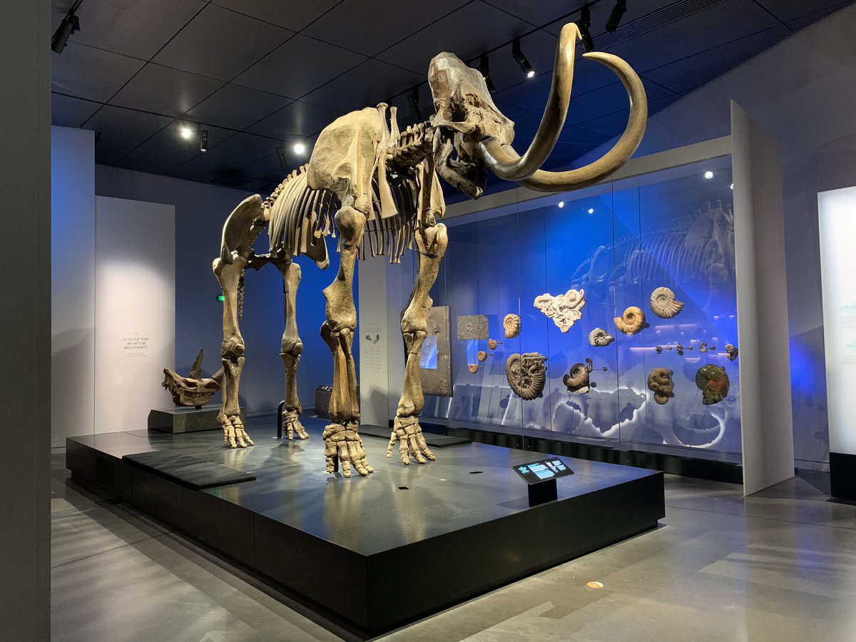 Coup de coeur pour le Musée des Confluences à Lyon. @mdc_confluences <a href="/villedelyon/">Ville de Lyon</a> #Arts #Musée