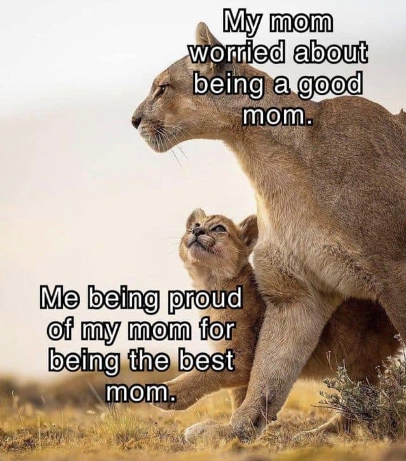 WholesomeMemes (@wholesomememe) on Twitter photo 