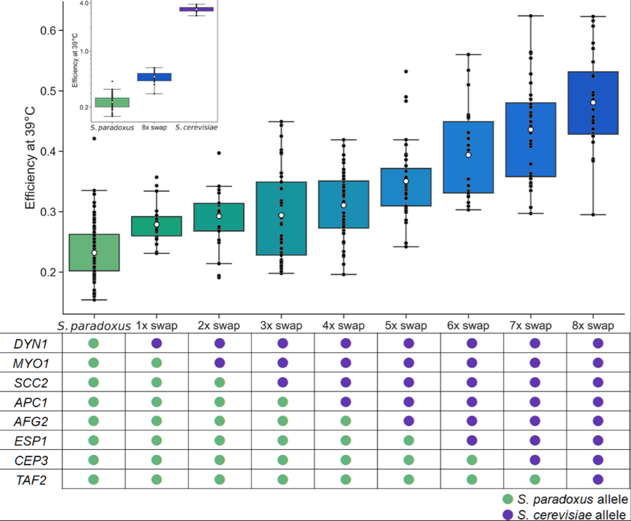 Faisal AlZaben • فيصل الزبن tweet media
