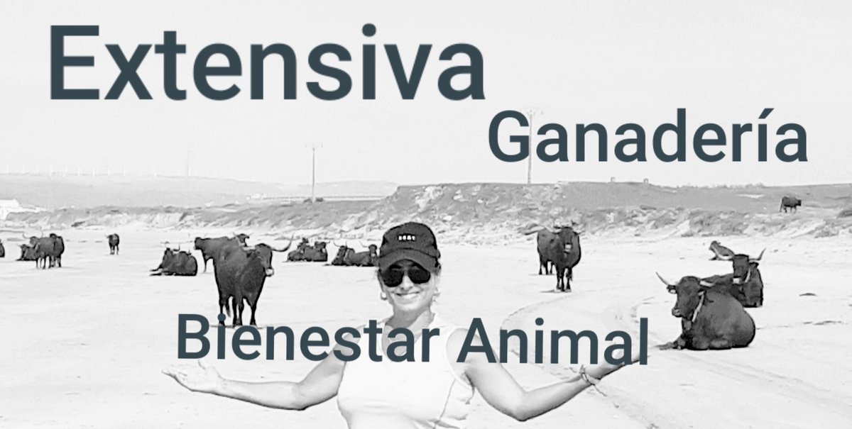 ganaderasextens's tweet photo. Diferenciar la ganadería industrializada de la #ganadería #Extensiva es fundamental. https://t.co/OiiIDlW8tu
