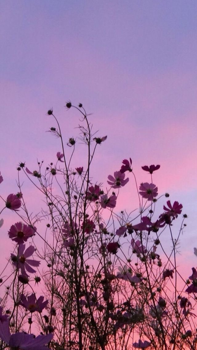 Crysd3's tweet photo. Have an awesome weekend 🌸🌸 https://t.co/DrfWenggMv