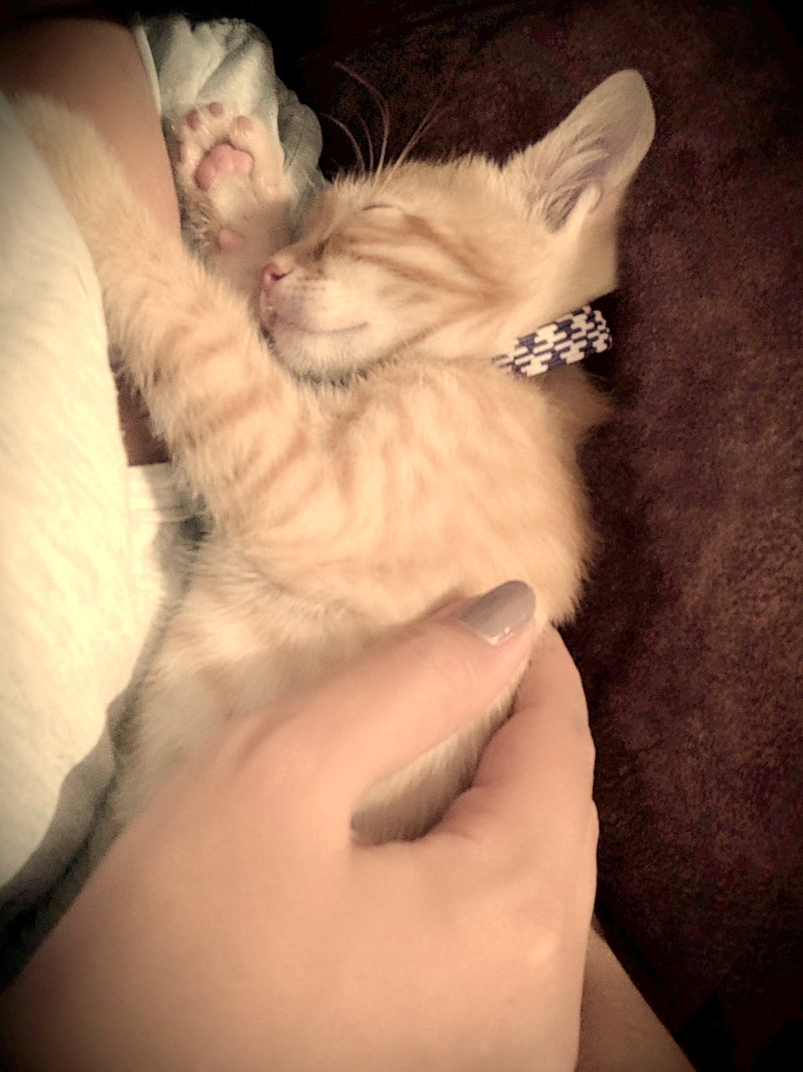 Heelloooo bakın benim neyim vaaarrr 🙈😻