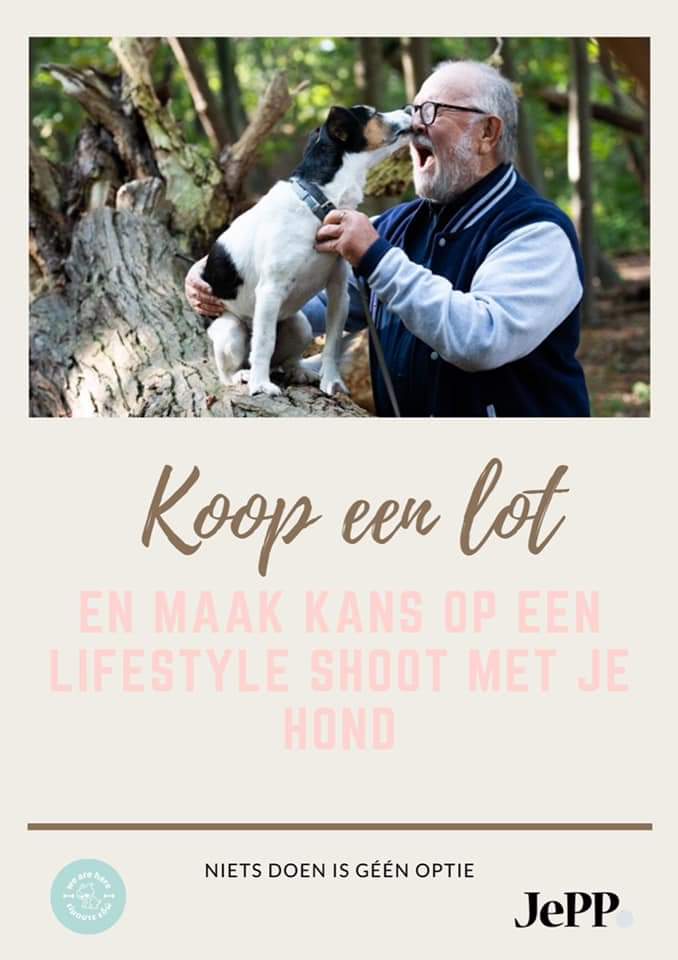 Meedoen aan een loterij waarmee je de honden op Lesbos helpt en tegelijk mooie prijzen kunt winnen?🍀

instagram.com/p/CUSv6DpINMS/…