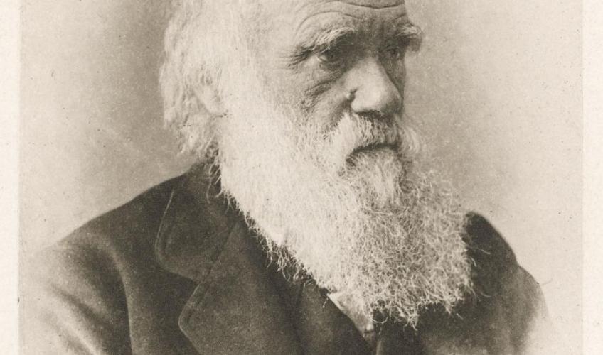 FossilHistory's tweet photo. #OnThisDay in 1861, Charles Darwin wrote to his friend "But I am very poorly today and very stupid and hate everybody and everything." https://t.co/9IjZ8GqmC5 https://t.co/HyywWOAzIz