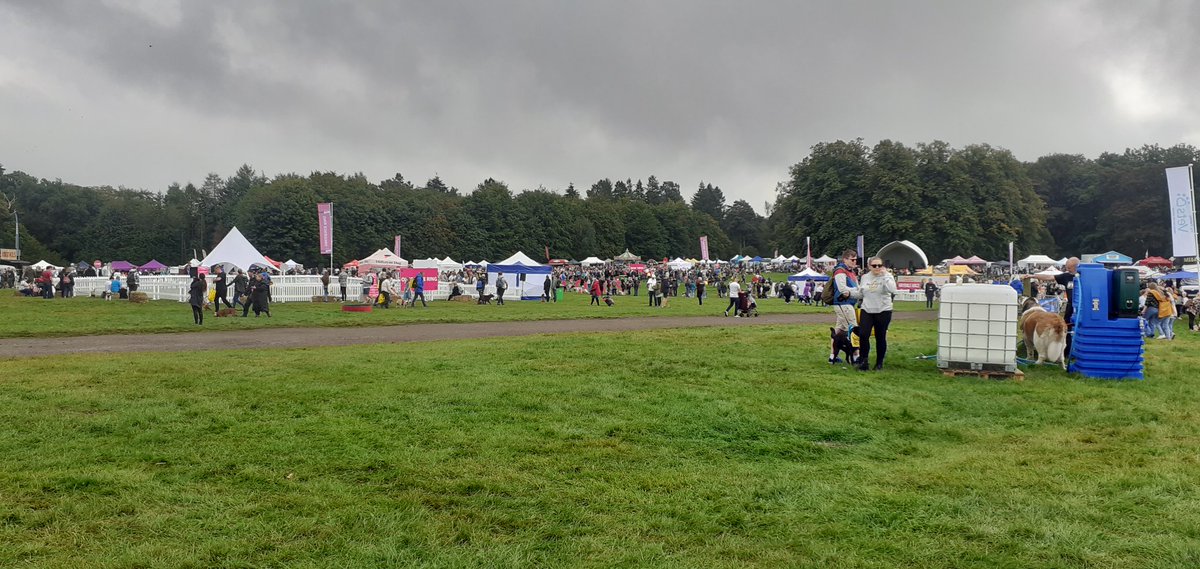 sweetexotics's tweet image. Had a good day out at DogFest 🐾 @tatton_park