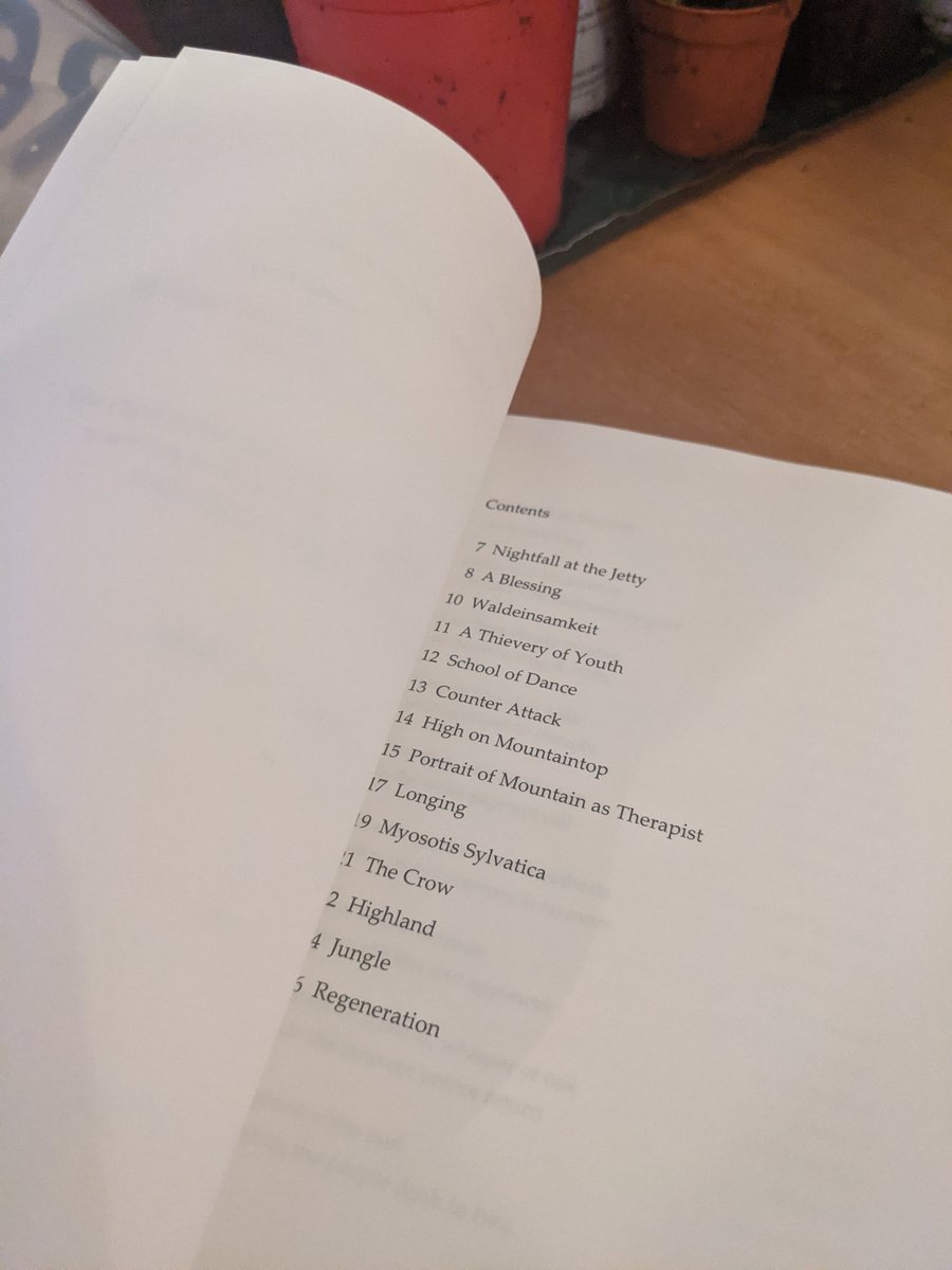 liamporter92's tweet image. A bit late to my own party but how absolutely ecstatic I am that Waldeinsamkeit, my new pamphlet from @nine_pens has made its journey into the world. I've already had such lovely feedback and thank you all so much for taking the time to read it.