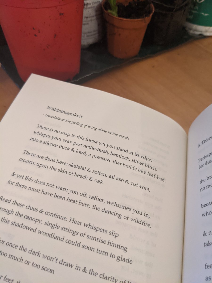 liamporter92's tweet image. A bit late to my own party but how absolutely ecstatic I am that Waldeinsamkeit, my new pamphlet from @nine_pens has made its journey into the world. I've already had such lovely feedback and thank you all so much for taking the time to read it.