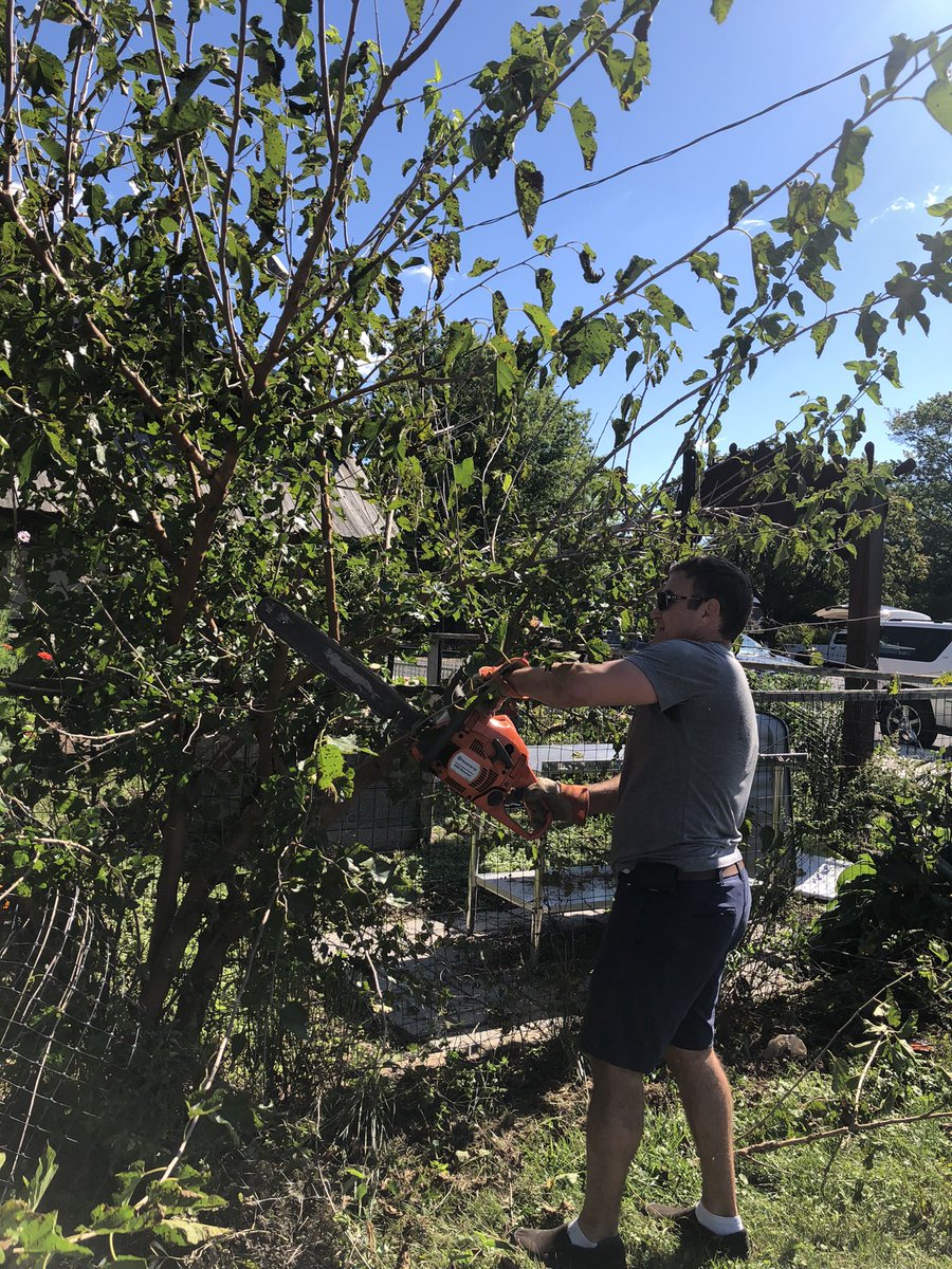 The HES garden got a major facelift today with the help of HES alumni @jonahdays and <a href="/TheGPC23/">Graig P. Corveleyn</a> ❤️ It is looking amazing! <a href="/HESVerticalFarm/">Hopewell Elementary Vertical Farming Initiative</a> <a href="/HES_Principal/">David Friedrich</a>