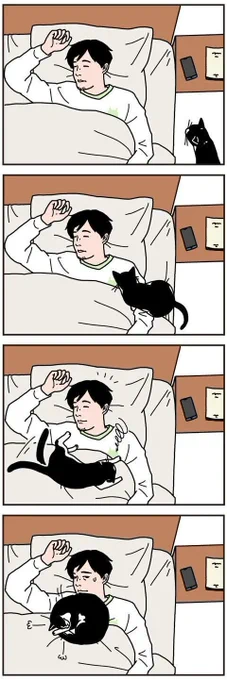人と猫のしっくり来る場所は違う【男の猫道】ねこのきもちWEB MAGAZINE限定話 vol.104|ねこのきもちWEB MAGAZINE https://t.co/EbtZ96skN5 