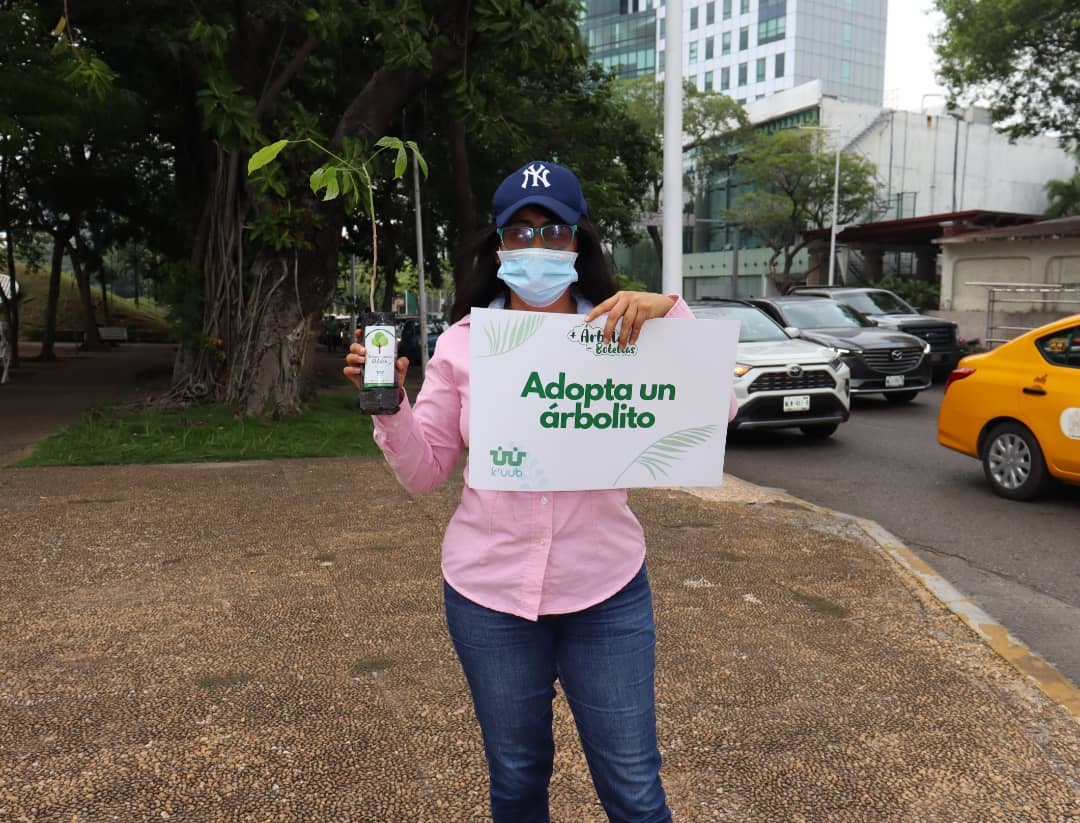 KuubMx's tweet photo. Reforestando el Edén, es una actividad realizada para ayudar a tomar conciencia y reforestar nuestro hermoso Tabasco con árboles representativos como, framboyan, macuilis y guayacán . Fueron beneficiadas 50  familias con estos hermosos ejemplares.
#reforestacion @HolachiotTab https://t.co/3nYprqkBtz