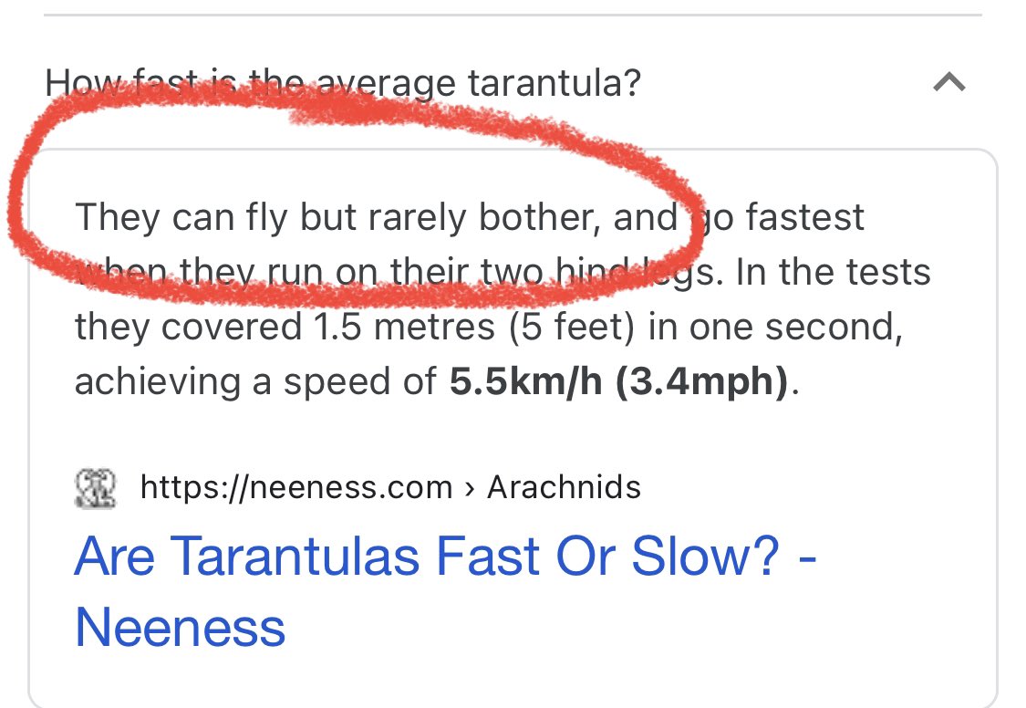 I AM SORRY F*CKING WUT