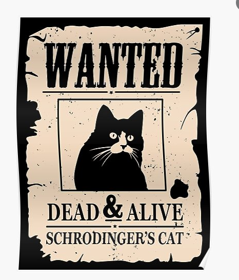 Googly_DaCat's tweet photo. https://t.co/mLnPsXpC06