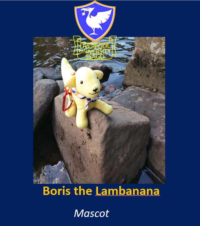 Liverpool SSAGO tweet media