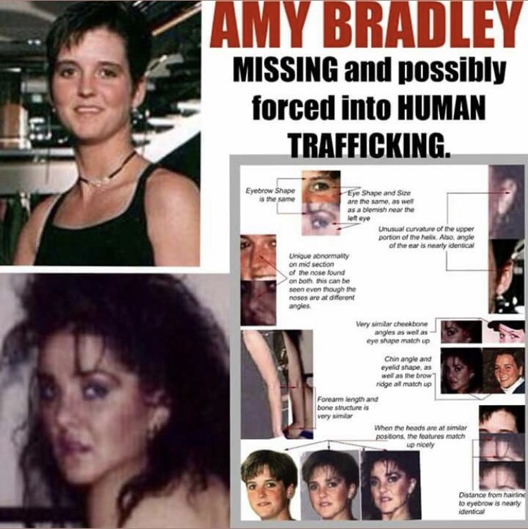 Amy missing cruise ship photos - Travelidaz.com
