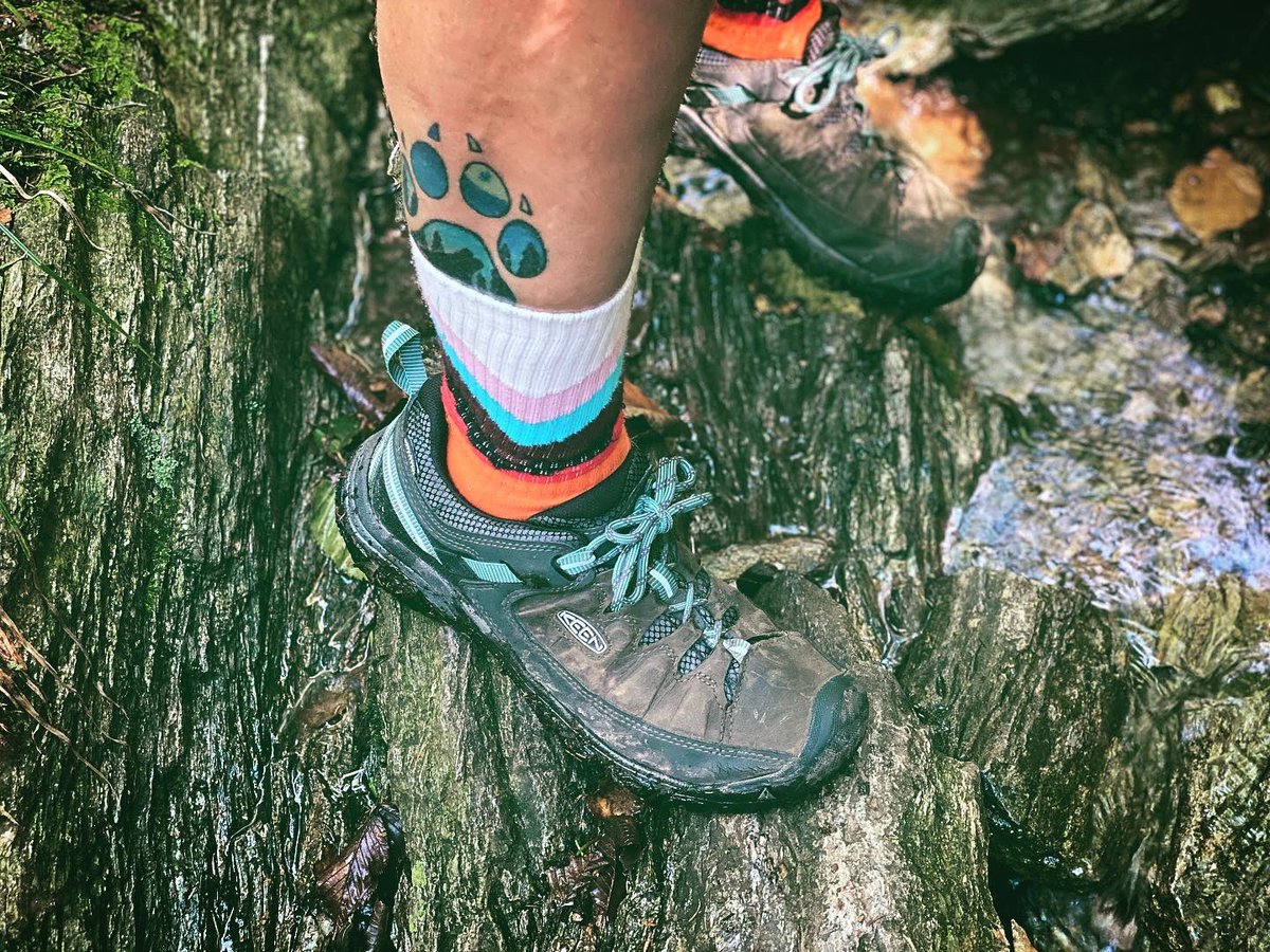EnterRaiden's tweet photo. W/our @BOMBAS socks & my @KEEN footwear, we did #ClimbToTheTop for @mssociety & my girlfriend. We hit up #MountGreylock @MassDCR. My girlfriend is #Winning every day. And yes, #PocketsTheOtter joined us.#QueerHiking ๐ณ๏ธโ๐๐ณ๏ธโโง๏ธ #CureMs ๐งก #FUMS #MsDoesntDiscrimninate https://t.co/lyDSkr0V6P