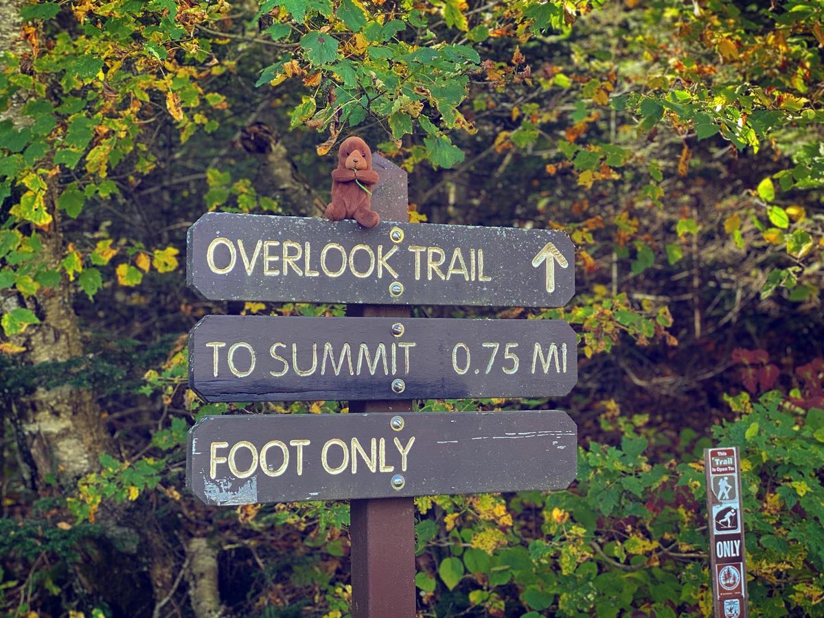 EnterRaiden's tweet photo. W/our @BOMBAS socks & my @KEEN footwear, we did #ClimbToTheTop for @mssociety & my girlfriend. We hit up #MountGreylock @MassDCR. My girlfriend is #Winning every day. And yes, #PocketsTheOtter joined us.#QueerHiking ๐ณ๏ธโ๐๐ณ๏ธโโง๏ธ #CureMs ๐งก #FUMS #MsDoesntDiscrimninate https://t.co/lyDSkr0V6P