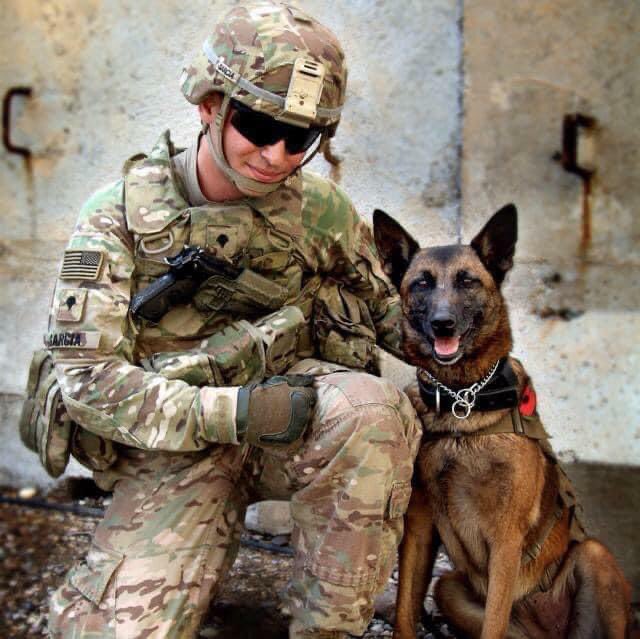 MWD_News's tweet photo. “It’s with great sadness I announce the passing of MWD Davy N532 (21Sep07 - 21Sep21). MWD Davy got me to Iraq &amp; back. Brought back countless people from 3 tours to afghanistan &amp; 1 to Iraq. You were so much more than a dog. You &amp; I went through so much together.” https://t.co/VFpawEssLv