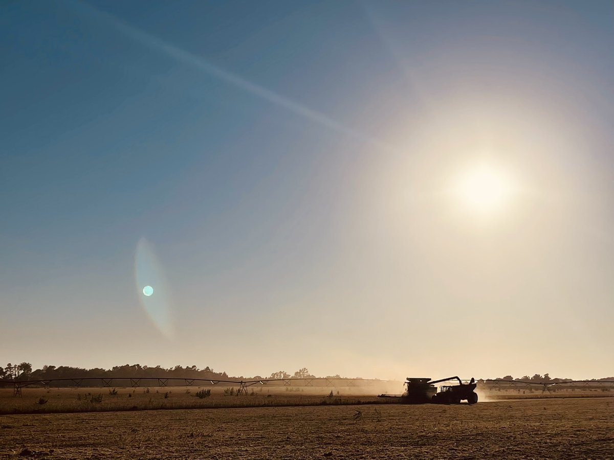 JennifrTroester's tweet photo. Here we go! Harvest 2021 π #harvest21 #farming #cuttingbeans https://t.co/ahf6V69hOe