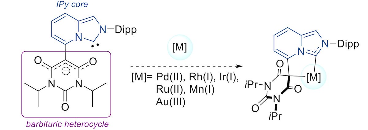 Szostak_Group's tweet image. #NHeterocyclicCarbenes Cesar &amp;amp; Bastin groups reported #anionic &amp;amp; #chelating NHC from merger of N‐hetero-#bicyclic #IPy carbene &amp;amp; #barbituric acid. High reactivity in #dehydrogenative oxidation of alcohols! @Tongliang_Zhou @Bastin31 @vinc_cesar @Orgmet_ACS

doi.org/10.1021/acs.or…