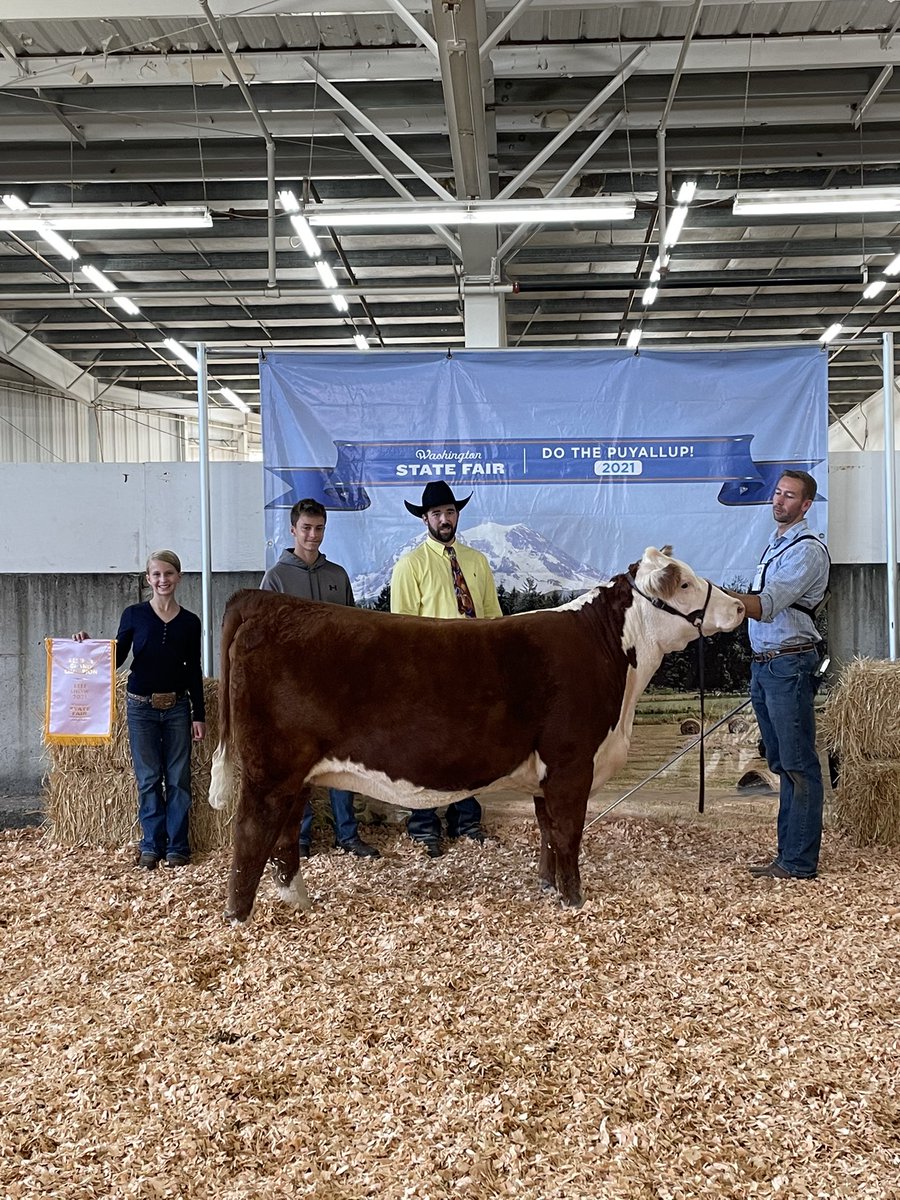 FinancialCows's tweet photo. @johngreen wanted you to meet ‘Alaska Young’ recent champion at the Washington State Fair. Soon to be a new mother. If you had any name suggestions for her future we would love to hear them! https://t.co/pnINk15oNi