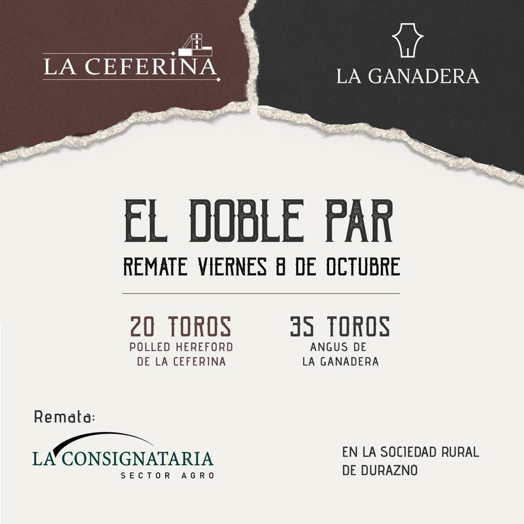 Gonzalo Valdés Requena tweet media