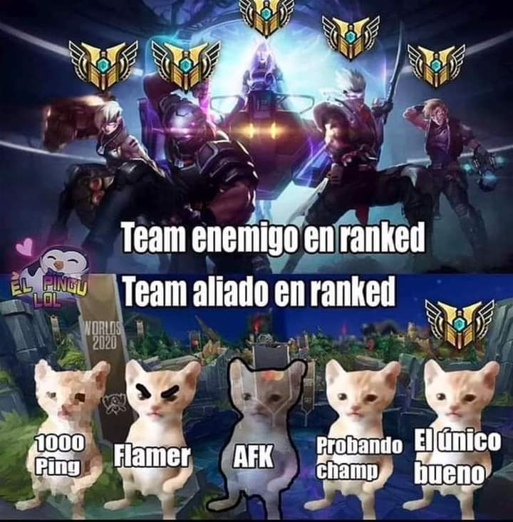 ExploitGoficial's tweet photo. Y sus teams que tal?
#LoL #LolMeme #LolArg #LolCl #LAS #MemeLoL https://t.co/n5NaCE0RiD
