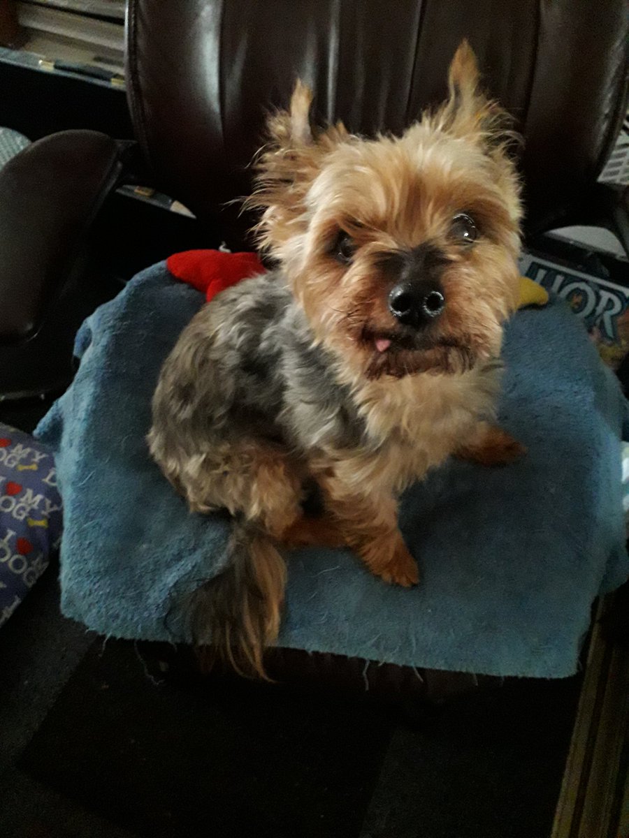 WOOF! WOOF!! 
Hello everyone - HAPPY MONDAY!
WOOF! WOOF!!!
🐕🐕🧙‍♂️