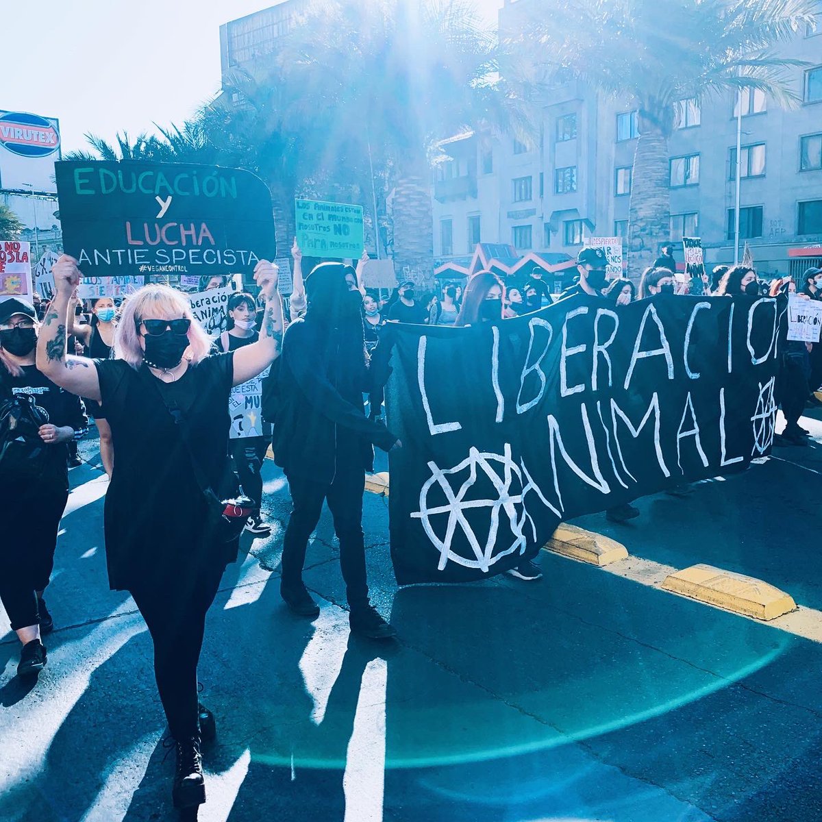 kiltrak's tweet photo. Marcha #antiespecista en #SantiagodeChile #vegansinger #veganartist #veganqueen #veganlove #animales https://t.co/YeMrVKKjvB
