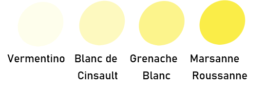 Fall Cornucupia and Release Event 🌽!  Pinot Meunier, Trousseau Gris and so much more🔥 - mailchi.mp/twoshepherds/f…