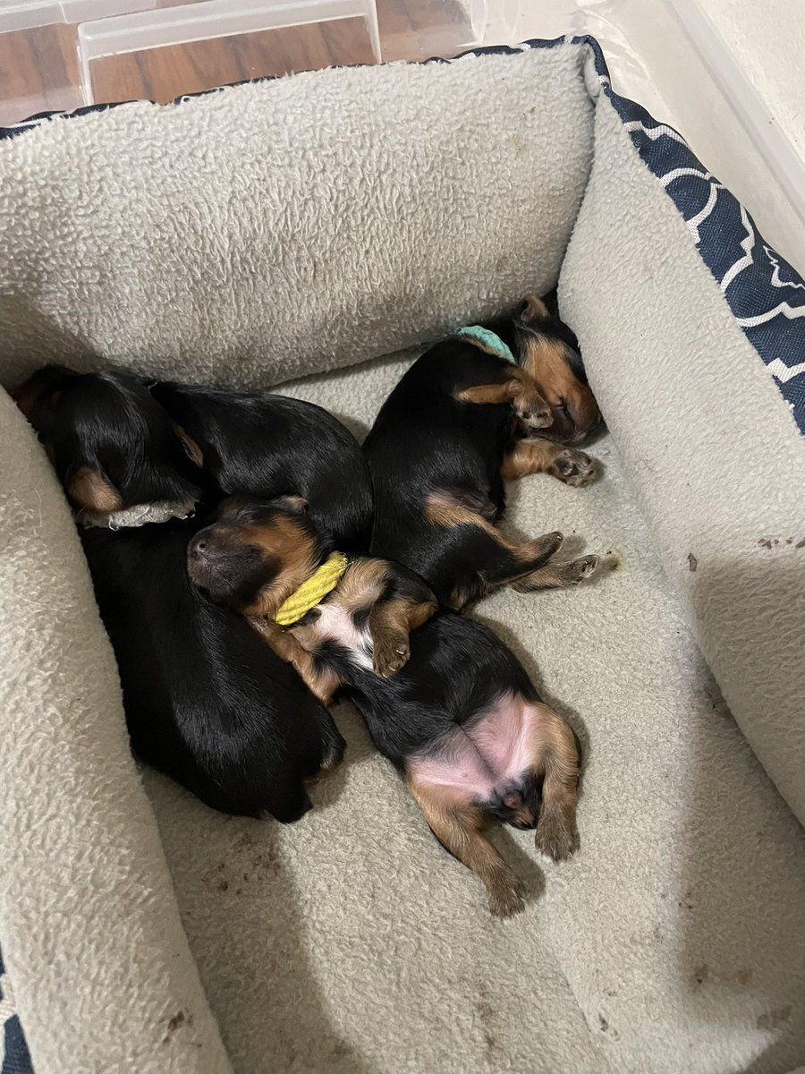 New babies are the best!